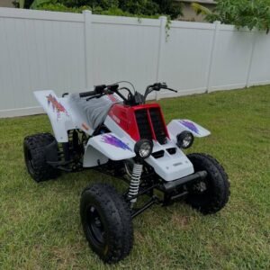 The 1996 Yamaha Banshee is a legendary ATV