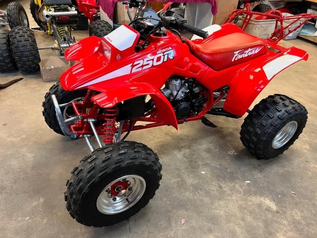 1988 Honda TRX250R - Image 3